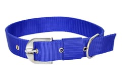 Nylon Collar for Dogs