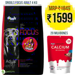 Combo: 4kg Drools Focus Adult + 20 bones, Absolute Calcium Bone Pouch