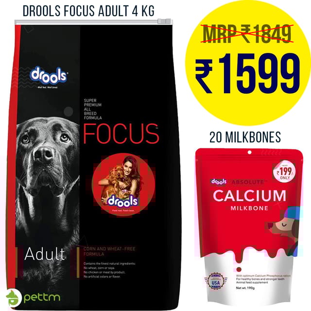 Combo: 4kg Drools Focus Adult + 20 bones, Absolute Calcium Bone Pouch
