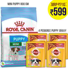 Combo: Royal Canin - Mini Puppy (0.8 kg) + Pedigree Puppy Gravy (4 packets)