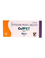 INTAS CEFPET Tablets for Dogs - (1X10 TAB)