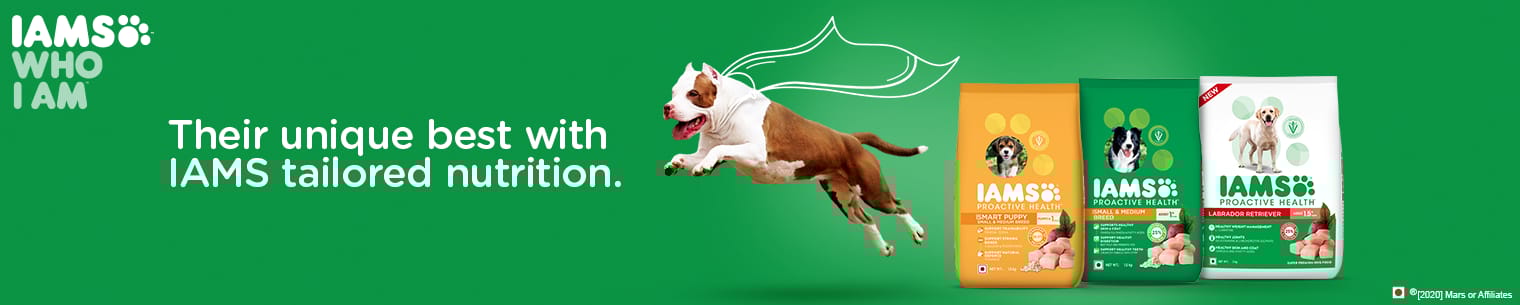 IAMS