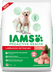 IAMS Proactive Health Adult (1.5+ Years) Super Premium Dog Food - Labrador Retriever