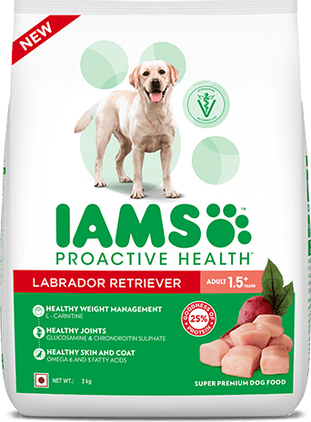 IAMS Proactive Health Adult (1.5+ Years) Super Premium Dog Food - Labrador Retriever