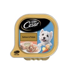 Cesar Adult Wet Dog Food - Salmon and Potato Flavor