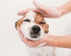 Basic Bath