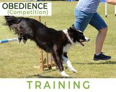 Competition Training