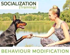 Behavior Modification