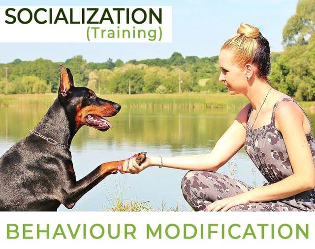 Behavior Modification
