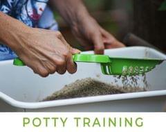 Potty Training