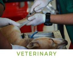 Find A Vet