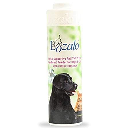 Lozalo - Jasmine Deo Powder (0.15 Kg)