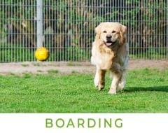 Pet Boarding