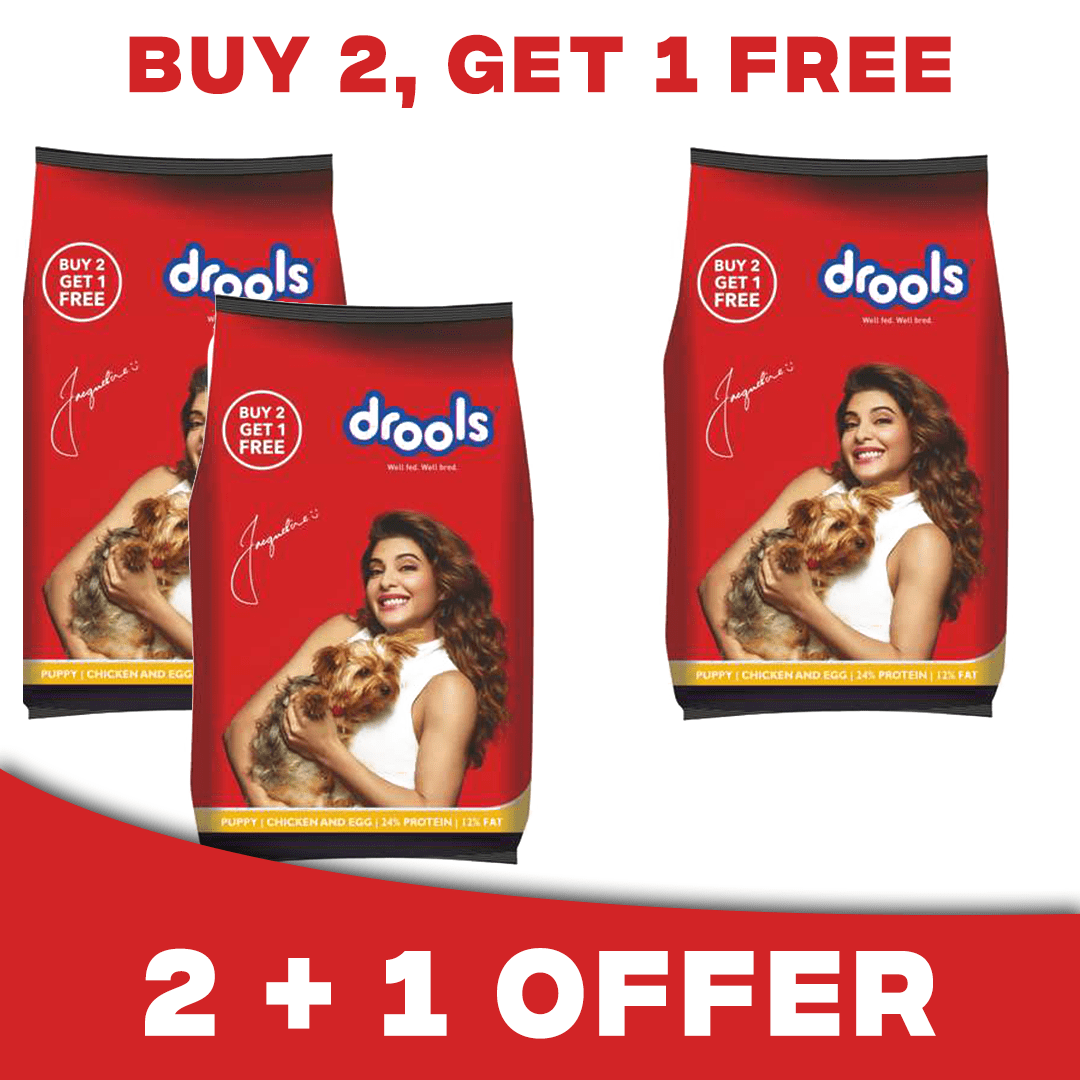Buy Drools Chicken and Egg Puppy Dog Food 400g Buy 2 Get 1 Free Online at Low Prices in India